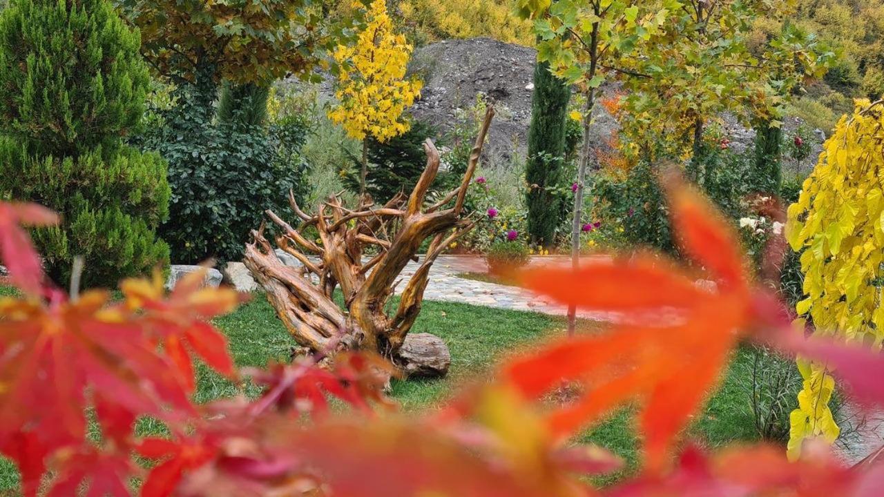 Dibra Park Agrotourism Hotel Peshkopi Buitenkant foto